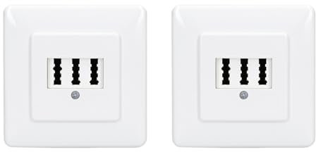 Rutenbeck 2 x Unterputz TAE-Anschlussdose/Telefondose NFF für 2X Telefon + 1x Nebenstelle (Fax, AB, Modem) 3x6 polig 2x6 Schraubkontakte reinweiß 10310222