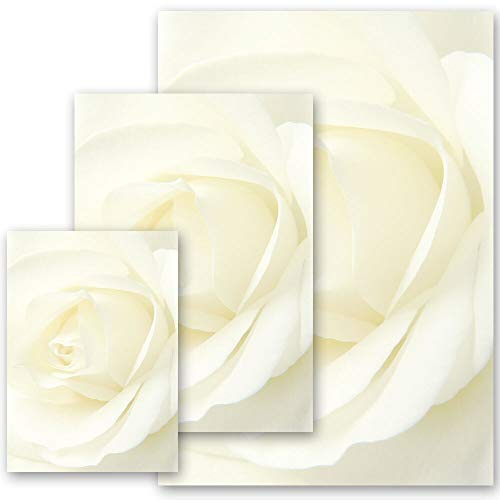 Motivpapier WEISSE ROSE Blumen & Blüten, Liebe & Hochzeit - DIN A4 Format 100 Blatt - Paper-Media