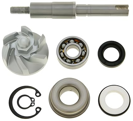 V PARTS 8663/54: repariert kit Reparatur Achse Pumpe Wasser