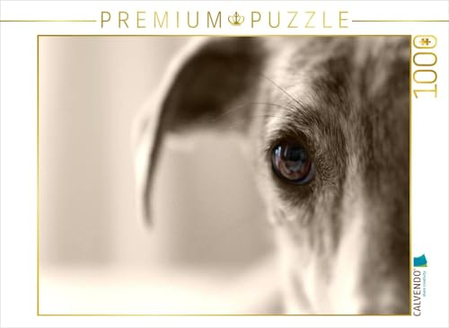 CALVENDO Puzzle EIN Motiv aus dem Kalender Galgo Eye-Catcher | 1000 Teile Lege-Größe 64 x 48 cm Foto-Puzzle für glückliche Stunden