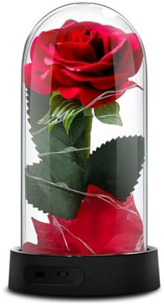 GUCHO Die Schöne und das Biest Rose,verzauberte rote Seiden-Rose, ewig Rose,mit Lichterkette, gefallenen Blütenblätter,Muttertagsgeschenke,Geschenk zum Valentinstag