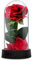 GUCHO Die Schöne und das Biest Rose,verzauberte rote Seiden-Rose, ewig Rose,mit Lichterkette, gefallenen Blütenblätter,Muttertagsgeschenke,Geschenk zum Valentinstag