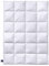 Billerbeck Bettdecke Almira® – 200 x 200 cm – warme Winterdecke – Daunendecke mit Gänsedaunen und -Federn, 90% Daune, 10% Federn – Wärmestufe Warm