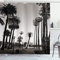 ABAKUHAUS Palmier Rideau de Douche, Los Angles Park View, Tissu Ensemble de Décor de Salle de Bain avec Crochets, 175 x 200 cm, Brun Foncé Blanc