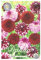 Interflowers Dahlien Knollen Blumenzwiebeln Dahlia Bunte Auswahl im Mix für Sommer Blume Knolle Blumenzwiebel Set in Bio Geschenkverpackung Bunte Blüten mehrjährig (3X Dahlie Candy)