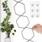 18pcs Chain Trellis for Climbing Plants, Monstera Support Hexagon Vine Support Garden Wall Trellis for Indoor Outdoor Climbing Plants