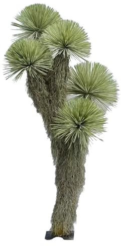POENIA ARTE FLORAL - Artificial Plant YUCCA Thompsoniana 320 cm - Ref 631216 - Realistic Decoration