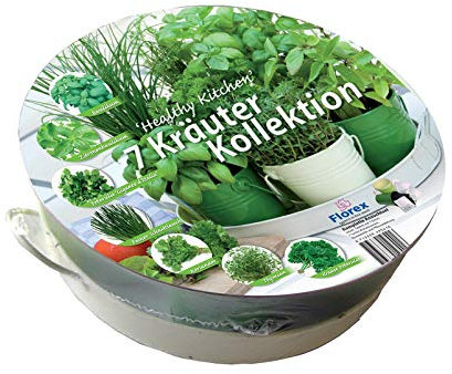 Florex Plateau 7 Herbes aromatiques