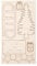 Rayher 46318000 Holzbausatz, Holz, Braun, One Size