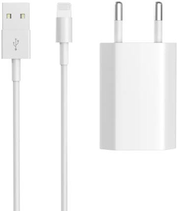 Newding Chargeur Rapide pour Phone 11, XR, SE, 8, 7, 10, SE 2022, SE 2020, X, 8 Plus, 6s, pour Phone USB Charger, 5W Prise Adaptateur Secteur avec Câble