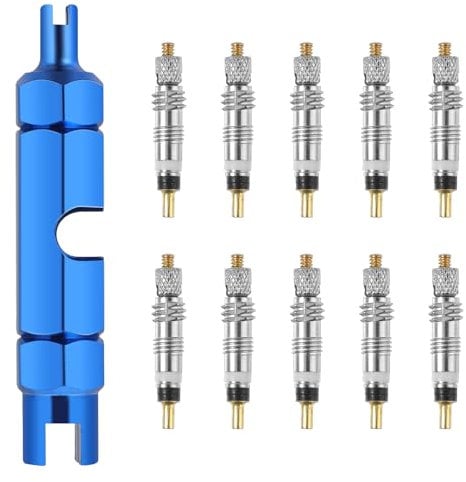 Tire Valve Stem Tool Kit, Stainless Steel Dual Head Valve Core Removal Tool Repair and 10PCS Valve Core Replacement Set, Presta & Schrader Valve Stem Removal Tool, Universal Bike