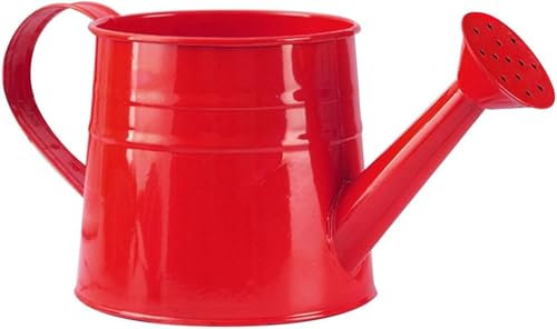 Gießkanne klein für den Zimmerpflanzen 1L, Blumengießkanne aus Metall, Giesskanne Pflanzengießkanne, kleine Gießkanne, Gartengießkanne Watering Can Blumentöpfe Kleine Vasen Gartenwerkzeug (Rot)