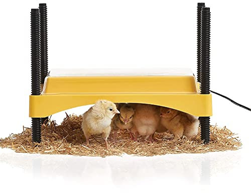 FINCA CASAREJO Criadora de Pollitos Brinsea EcoGlow de 12 W (bajo Consumo) para 20 Pollitos