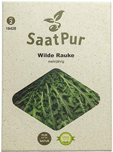 SaatPur Wilde Rauke Samen, Saatgut für ca. 250 Pflanzen