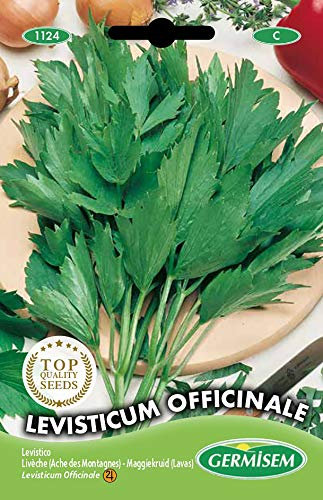 Germisem Levisticum Officinale Semillas de Lovage 1 g (EC1124)