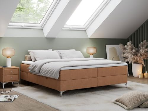 MKS MEBLE Boxspringbett - Niedriges Bett ohne Kopfteil mit Matratz, Topper und 2 Bettkasten - Less - 200x200 - Orange Struktur - H3