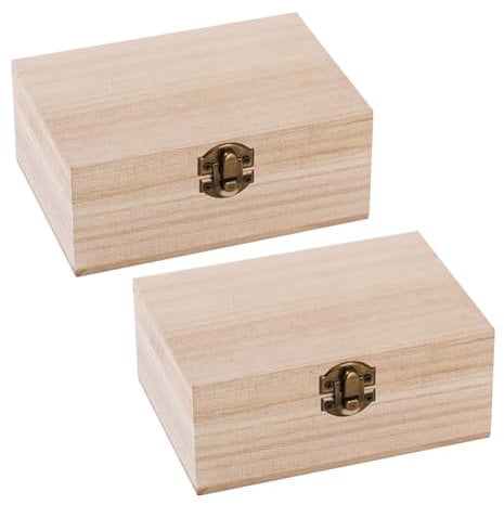FSSTUD Lot de 2 petites boîtes de rangement en bois brut brut avec couvercle à charnière et fermoir de verrouillage à l'avant