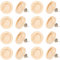 SUNNYCLUE 40 Stück Ohrstecker Rohlinge Aus Holz 12 mm Lünettentablett Ohrringe Cabochon Fassungen Edelstahlstifte Ohrmuttern Flach Rund Braune Natürliche Ohrstecker Aus Holz Für Die Schmuckherstellung