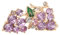 OATIPHO 2pièces Broches Grappe De Raisin Rhinestones Épingles Décoratives Élégantes Pour Femme Bijoux De Mode Pour Vêtements Et Accessoires