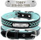Beirui Personalized Soft Padded Dog Collar with Buckle Comfortable and Stylish Leather Dog Collar for Small Medium Large Dogs with Name Plate(S, Blue 27-33cm)