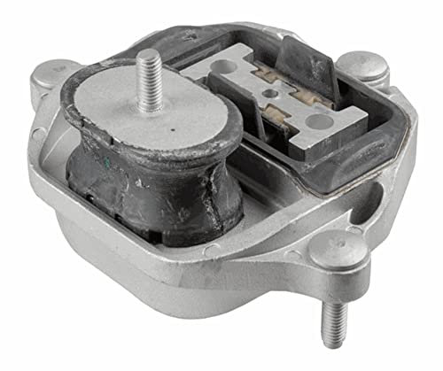 LEMFÖRDER 43231 01 Lagerung Automatikgetriebe und Schaltgetriebe Lagerung Verteilergetriebe für Audi A4 B8 Avant (8K5) 2007-2015 Hinten und Andere Fahrzeuge