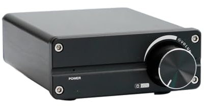 Bellandi Amplificatore Subwoofer di Classe D A Canale Audio Singolo da 100 W D100 TPA3116 per Audio Stereo Domestico