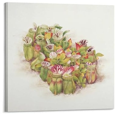 Samsung 55 S85F, NQ4 AI Gen2 Processor, 4K AI Upscaling, OLED HDR, PANTONE Validated, Samsung Vision AI, 2025