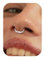BodyBonita 16G Septum Piercing Schmuck – 316L Edelstahl Nasenring Nasenpiercing mit Zirkonia für Frauen Männer Conch Helix Piercings Tragus Daith Knorpel Ohrpiercing Silber 8mm Leuchtende Anmut