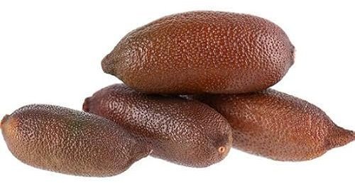 100 graines de citron caviar marron