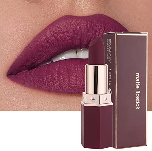 EONFAVE Mattes Lippenstift, Hoch Pigmentiert Lippenstifte Feuchtigkeitsspendend Lipstick, Lang Anhaltende Glatte Feine Textur Matt Rosa Lippenstift Satin Finish Lippenbalsam (1, 06 Pflaume)