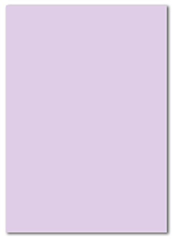 100 DIN A4 Papierbogen Planobogen - Lila - 160 g/m² - 21 x 29,7 cm - Bastelbogen Ton-Papier Fotokarton Bastel-Papier Ton-Karton - FarbenFroh