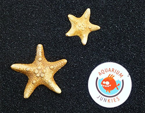 Aquarium-Junkies Schwarzes Meer 0,7-1,2 (25 kg)