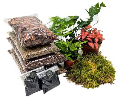 DIY Large Closed Terrarium Starter Kit • With 4 Humidity Loving Plants Included