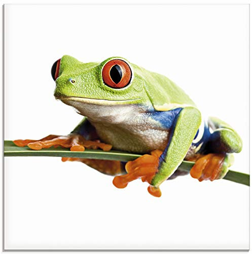 ARTland Wanddeko Glasbilder Wandbild Glas Bild einteilig Quadratisch Natur Tiere Frosch Laubfrosch Blätter T0OE