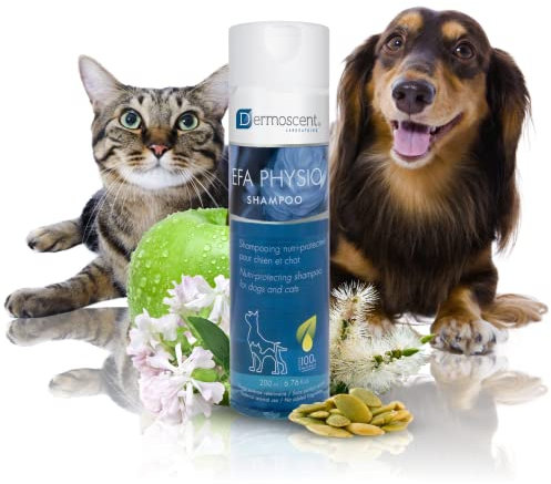 Sanftes Hundeshampoo für empfindliche Haut | Feuchtigkeitsspendende Fellpflege mit Hanfsamenöl & Niaouli-Öl | Für Hunde & Katzen geeignet | EFA Physio Shampoo von Dermoscent