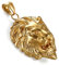 Flongo Edelstahl Anhänger Halskette Kette Gold Golden Löwe Kopf Löwenkopf Punk Rock Motorradfahrer Biker Herren,mit 55cm Kette