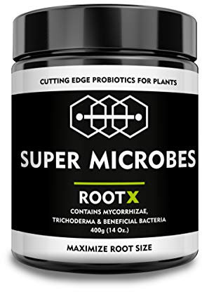 RootX - Premium Bewurzelungspulver für Stecklinge von Grünpflanzen | Speziell formuliert für blühende und knospende Pflanzen | Enthält Mykorrhizapilze, Trichoderma und andere nützliche Bakterien 400GR