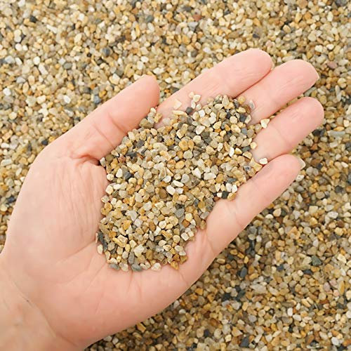 Grober Sandstein – Sukkulenten und Kaktus Bonsai DIY Projekte Felsen, dekorativer Kies für Pflanzen und Vasen Füllstoffe, Terrarium, Feengärtnern, Naturstein Top Dressing für Topfpflanzen 2,6 kg