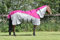 Horse Fly Rug With Waterproof Turnout Top 600 D Lightweight Horse Fly Rug Mesh Raspberry/Grey (6'3'', RASPBERRY/GREY)