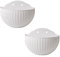 RTWAY Hängender Blumentopf, 2 Stück, Kunst-Rattan, Wandbehang, europäischer Stil, halbrund, Blumentopf, Blumenampel, Blumentopf für Zaun, Veranda, Garten, Balkon