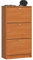 AKORD Schuhschrank mit 3 Schuhkippern | Schuhkipper | Schuhregal geschlossen | Schuhbank | Schuhaufbewahrung | B60 x H113 x T28,5 cm, Gewicht 29 kg | Farbe Erle
