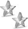 10-Piece Star Cookie Cutters Set with 5-Point & Mini Baking Moulds - Christmas, Birthday Party Supplies for Kids - Silver