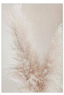 HJOSWVNS Gemälde Beige Braun Pflanze Foto auf Leinwand Bilder Badezimmer Flur BildLeinwand Deko Bilder, Poster, Kunstdrucke &Skulpturen Wandbilder Wohnzimmer Küchenbilder Kein Rahmen 20x30cm/1 Pcs