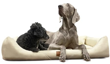 tierlando® Orthopädisches Hundebett William Easy-Clean, Luxus Hundesofa aus Kunstleder für Allergiker mit Memory Foam Matratze, Größe: 130x100cm | Farbe: 05 Creme