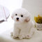 ZYKAA Hochwertige Simulation Bichon Frise Dog Plüschtier Gefüllte Lebensechte Pomeranian Dog Puppy Toys Home Decor Kids Brithday 38X21X26cm Malteser