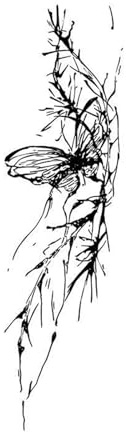 Tatouage temporaire, papillon, herbe parasite, croissance d'arbre mort, semi-permanent, imperméable, durée 2 semaines, faux tatouages(2pcs)