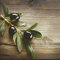 20 Servietten Olives on a Wood Oliven auf Holz/Essen 33x33cm