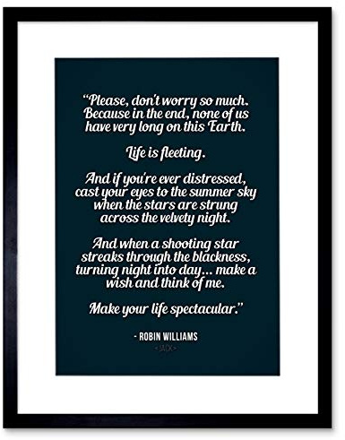 Wee Blue Coo Quote Robin Williams Don't Worry Life Spectacular Framed Wall Art Print