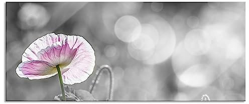 Pixxprint Glasbild Panorama, Wandbild aus Echtglas, Kalifornischer Mohn im Frühling, 100x40 cm, inkl. Aufhängung und Abstandshalter