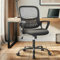 DUMOS Bürostuhl Ergonomisch, Schreibtischstuhl mit Lendenwirbelstütze, Drehstuhl mit Armlehne, Computerstuhl, Höhenverstellbarer Office Chair, Bürostühle Geeignet für Büro und Schlafzimmer (Schwarz)